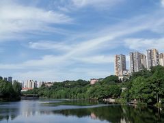 -重庆彩云湖湿地公园