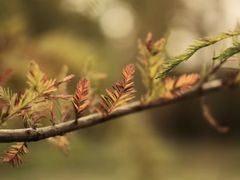 -白鹭湾湿地公园