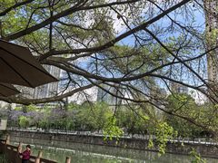 -成都市活水公园
