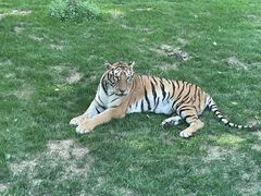 -北京野生动物园