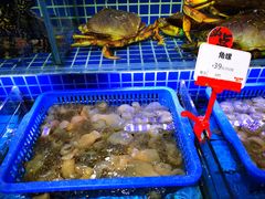 -必点海鲜·鲅鱼水饺(鞍山西道店)