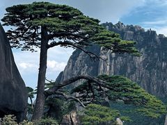 -黄山风景区