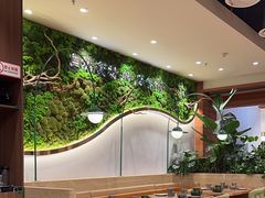 -云海肴·汽锅鸡·云南代表菜(曲江大悦城店)