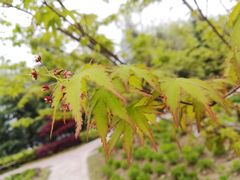 -江南大学(蠡湖校区)