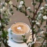 广州周末下午茶☕️这里为什么这么好拍！！！！