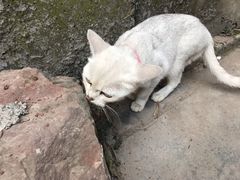 -沈从文故居