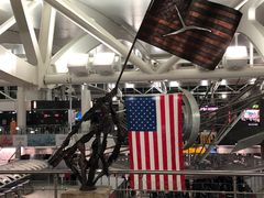 -约翰·菲茨杰拉德·肯尼迪国际机场