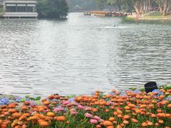 -荔湾湖公园