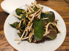 鱼腥草-滇越乘象云南餐厅(次渠店)