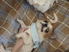 -观音桥步行街