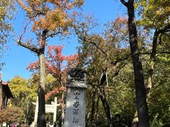 -灵谷景区