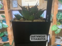 -Rabbit Cafe私房西餐甜点咖啡(栖霞路店)