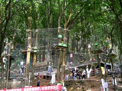 -天鹿湖森林公园