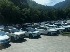 -牛背梁国家森林公园