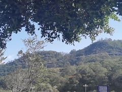 -龙江公园