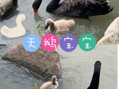 -上海野生动物园