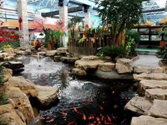 -森谷美食公园(杨行店)
