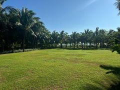 -三亚海棠湾喜来登度假酒店