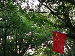 -三水森林公园