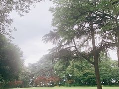 -西湖天地