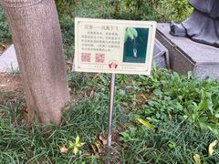 -广州神农草堂中医药博物馆