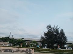 -宝安西湾红树林湿地公园