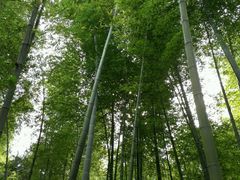 -南山风景名胜区
