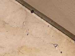 -杭州滨江宝龙城