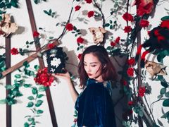 -爱丽丝冒险奇遇记