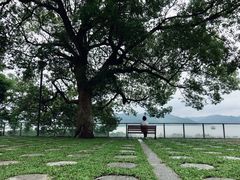 -东钱湖旅游度假区