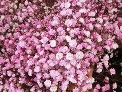 -观音桥百香林西点