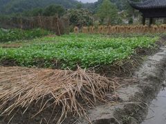 android_upload_pic-裕兴农家饭店