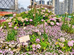 -首开·龙湖成都西宸天街