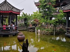 -代木儿回锅肉