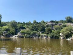 -北京西山国家森林公园