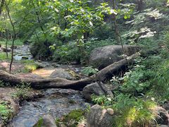 -玉渡山自然风景区