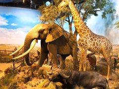 -陕西自然博物馆