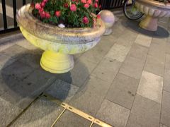 -探鱼·鲜青椒爽麻烤鱼(北京路天河城店)