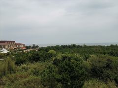-日照海滨国家森林公园