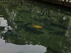 -杭州植物园
