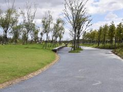 -春花秋色城市公园