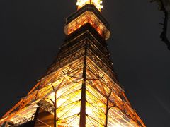 -东京塔海贼王主题公园