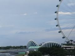 -新加坡摩天观景轮