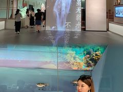 -中国湿地博物馆