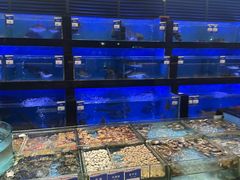 -四季大酒楼(白濠店)