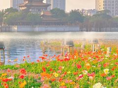 -顺峰山公园