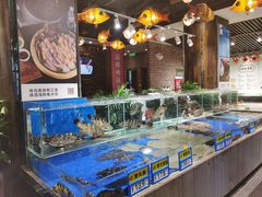 水产区-船歌·鱼水饺青岛菜(闽江二路店)