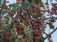 -龙熙维景国际会议中心