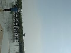 -北海金海湾红树林生态旅游区