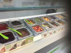 -Salud撒露欧洲冻酸奶(五道口购物中心店)